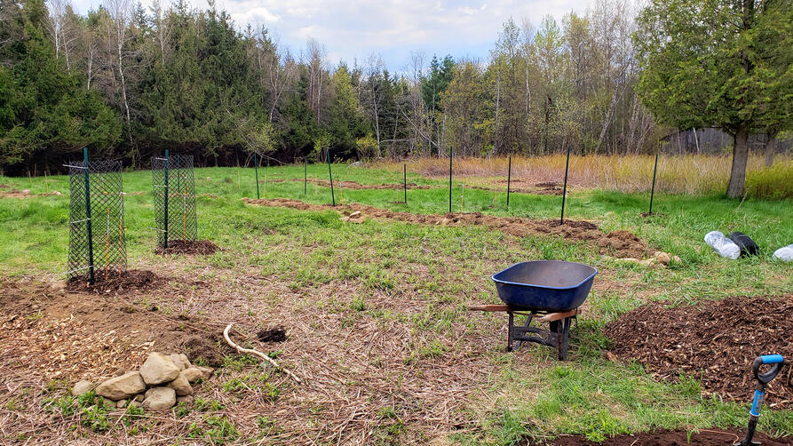 Verger Rural - Guilde Permaculture