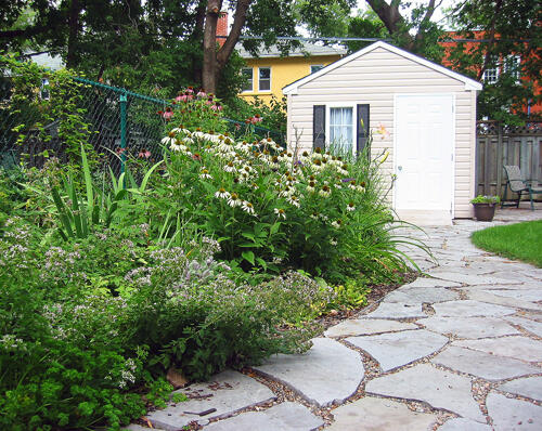 Jardin Pollinisateur Urbain