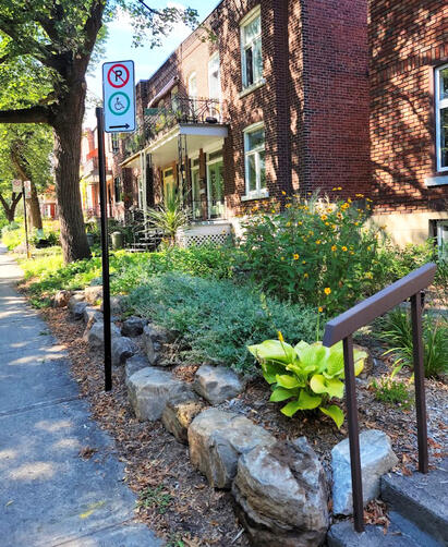 Jardin Pollinisateur Urbain - Deuxième Saison