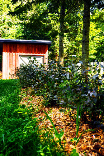 Aménagement Rural