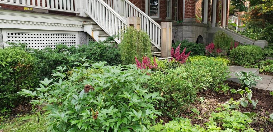 Jardin Pollinisateur Urbain - Première Saison