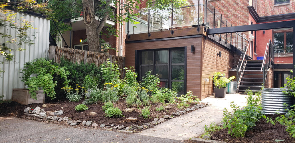 Jardin Pollinisateur et Fines-Herbes Urbain - Première Saison