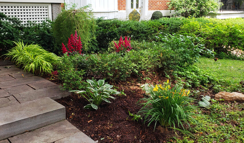 Jardin Pollinisateur Urbain - Première Saison
