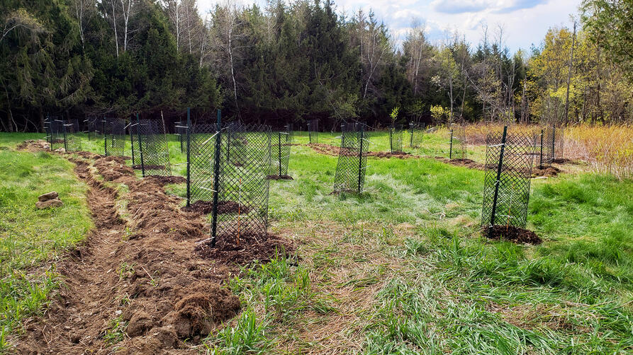 Verger Rural - Guilde Permaculture