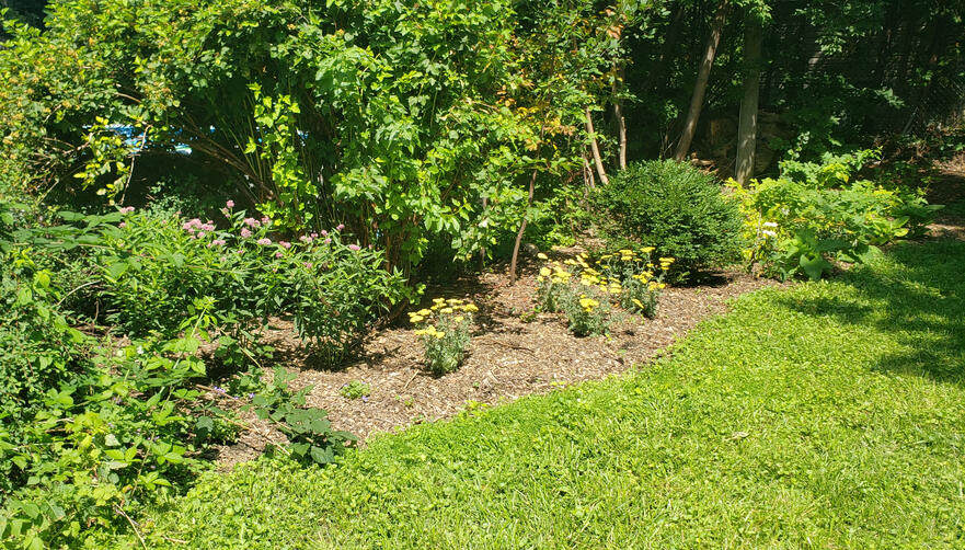 Jardin Pollinisateur Urbain - 1ière Saison