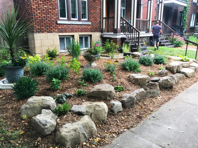 Jardin Pollinisateur Urbain - Première Saison