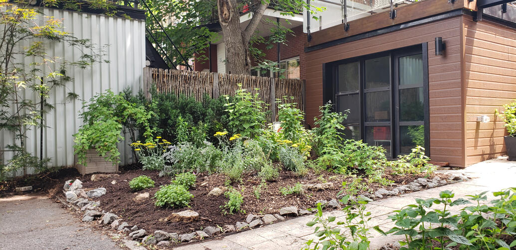 Jardin Pollinisateur et Fines-Herbes Urbain - Première Saison