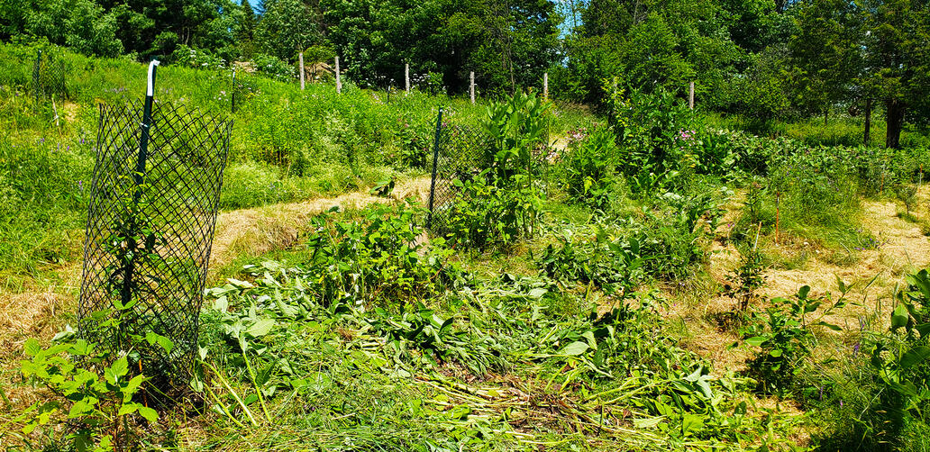 Verger Rural - 2ième Saison
