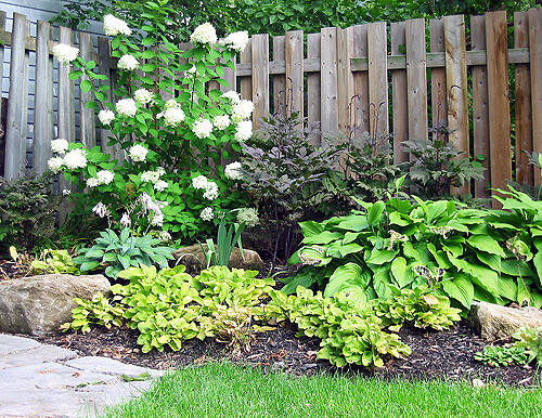 Jardin Pollinisateur Urbain