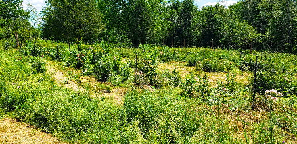 Verger Rural - 2ième Saison